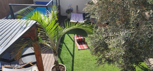 Isfiya Maison | Amy's paradis גן העדן של איימי