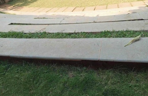 Bengaluru Appartement | An Apartment for Special Guests