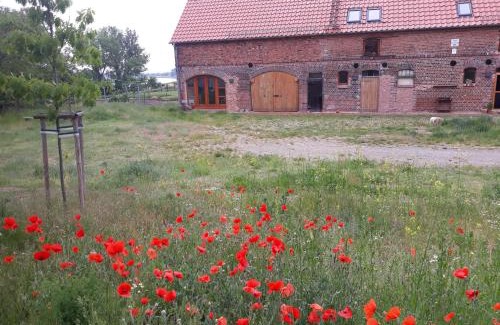 Worblitz Appartement | An den Elbwiesen GZ FeWo Elbeblick Nur Nichtraucher