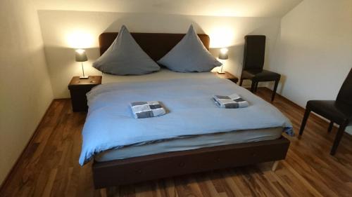 Immendingen Maison | An der grünen Donau - Ferienwohnung, Monteurwohnung, wir bieten keine Parkplätze, Verpflegung oder Tücher an, Parken NUR gegenüber auf der Straßenseite