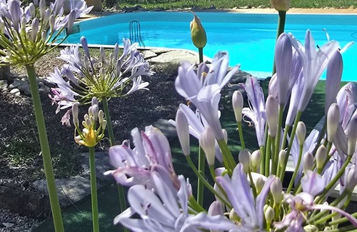 Coueilles Villa | Parenthèse enchantée à la campagne Villa, piscine, jacuzzi rien que pour vous