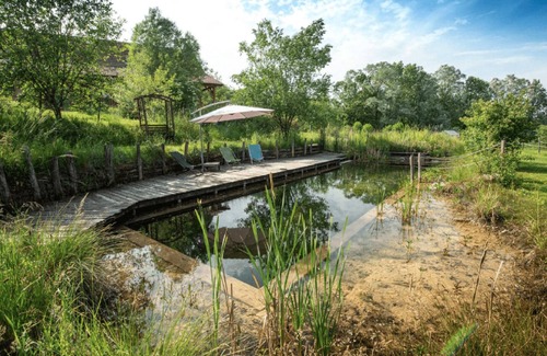 Saint Usuge Maison | Découvrez - Le Kota Peacock - sur l'Ecolieu Ô Saveur de l'instant