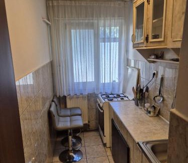 Ramnicu Valcea Appartement | Ana