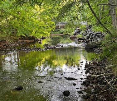 Pleasant Bay Appartement | Ananda - Enchanted Forest Hideaway