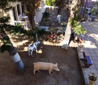 Chlorakas Appartement | anastasia holiday apartments