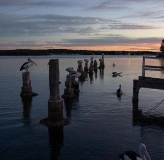 Greenwell Point Hôtel | Anchor Bay Motel