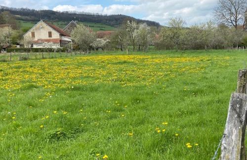 Jailly-les-Moulins Maison | Ancienne ferme Bourguignonne en bord de rivière, grand terrain arboré, et clos