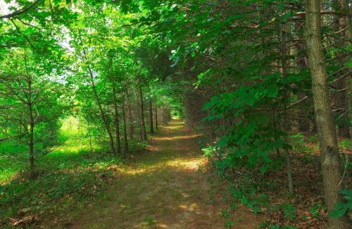 Grand Junction Maison | Ancient Oak Sanctuary Rural getaway, walking paths