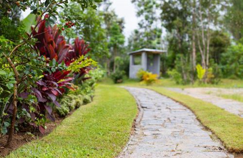 Andasibe Cabine | Andasibe Lemurs Lodge