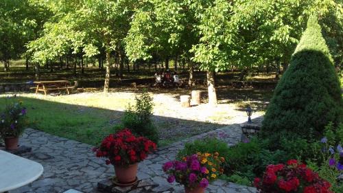 Raftis Appartement | Andrea Sofi Guesthouse