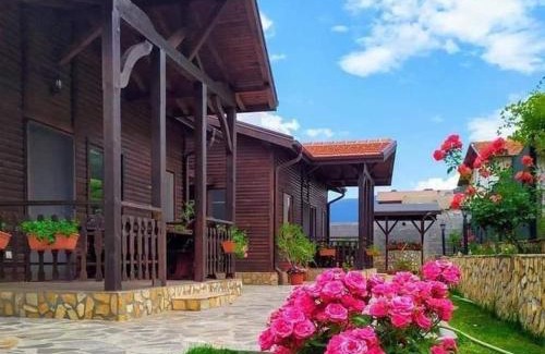 Sapareva Banya Maison | Andreevite Houses