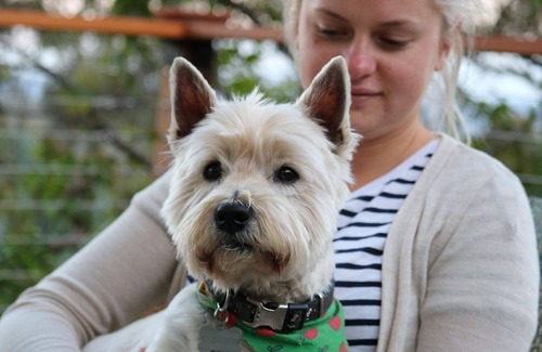 Crows Nest Lit Et Petit-Déjeuner | Anduramba Homestead B&B