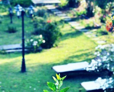 Pyrgos Psilonerou Appartement | Andys-Gardens Villas