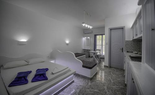 Adamas Hôtel | Anerousses