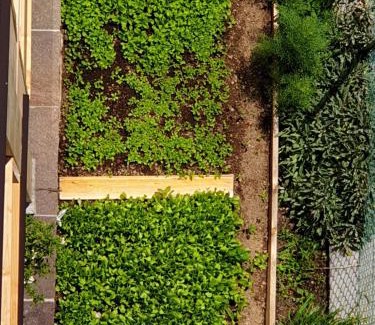 Baselga di Pine Appartement | ANESI appartamenti