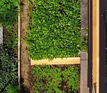 Baselga di Pine Appartement | ANESI appartamenti