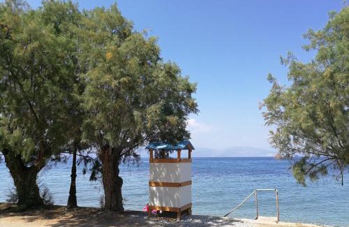Diakofto Appartement | Angel's Place by the Sea