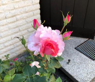 Kalvesta Maison | Anitas B&B Stockholm/Vällingby