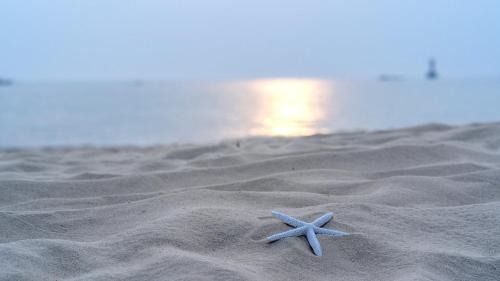 Taean Maison | Anmyeondo paradise pension