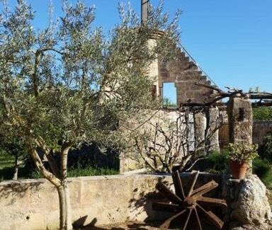 Son Antem Appartement | Annexo