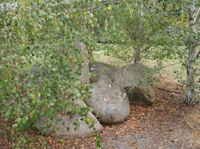 Tenterfield Maison | Annie's