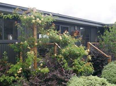 Tenterfield Maison | Annie's