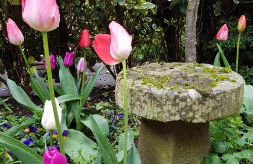 Montrose Appartement | Anniston Farm Cottages