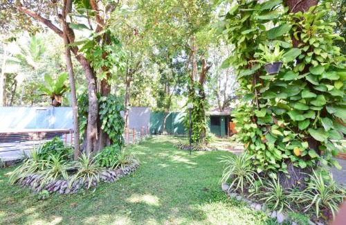 Dambulla Maison | Anon Rest