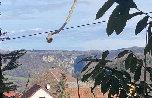 Chaux-Champagny Appartement | ANTHOCYANS