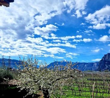 Mezzocorona Maison | Antico Fienile Agritur