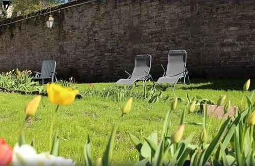 Luxeuil-les-Bains Appartement | Antoinette