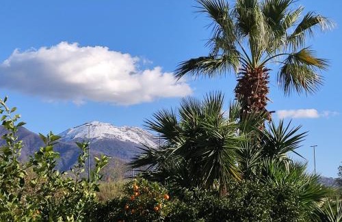 Naples Lit Et Petit-Déjeuner | Antoniet