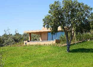 Montargil Hôtel | AP Lago Montargil - Conference & SPA