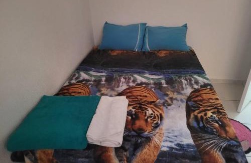 Santa Luzia Appartement | Ap mega Space, Arena GRAN HaLL, café 3 corações, 20min ct Galo, CAMPO IMPERIAL,Aquabeat, 30min Aeroporto