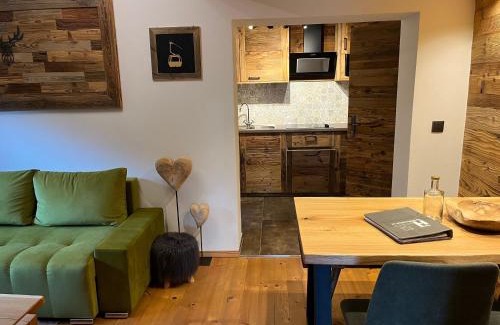 Ehrwald Appartement | Apart Hansler "das Liara" mit Infrarotkabine und Balkon