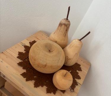 Arzl im Piztal Appartement | Apart Pitzenklamm