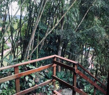 El Poblado Appartement | Aparta Hotel Natural Poblado San Lucas para 5H 114
