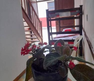 Zapatoca Appartement | Apartaestudio cerca a parque Zapatoca