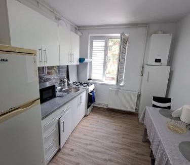 Zalau Appartement | Apartament 2 camere