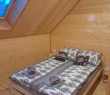 Olszanica Appartement | Apartament 2 u Doroty Orelec k. Soliny