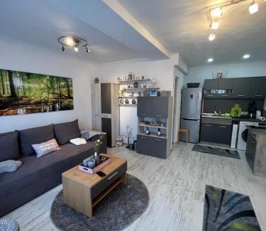 Sfantu Gheorghe Appartement | Apartament Acasa Sf.Gheorghe