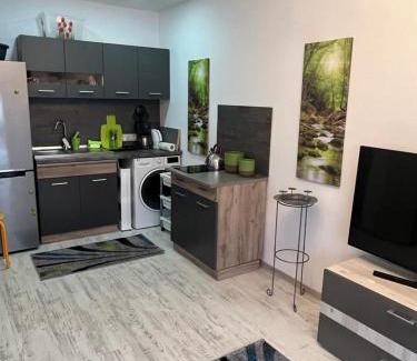 Sfantu Gheorghe Appartement | Apartament Acasa Sf.Gheorghe