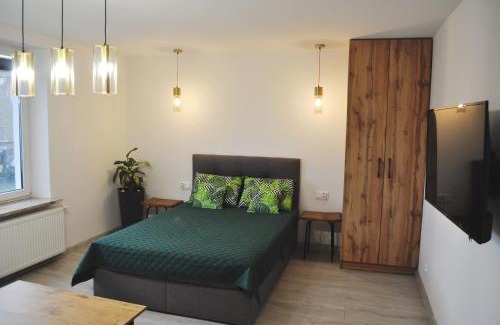 Tolkmicko Appartement | Apartament Aleksandra