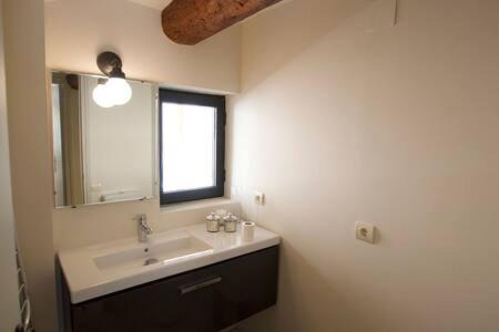 Alp Appartement | Apartament Central amb terrassa