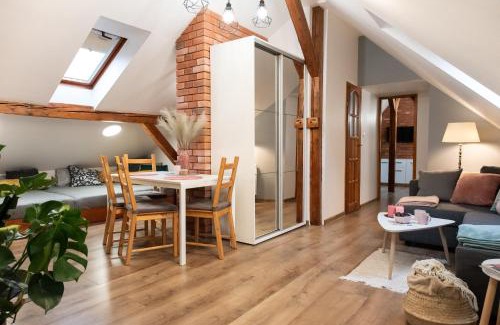 Torun Appartement | Apartament CENTRUM - PREMIUM