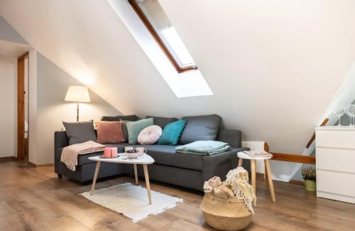 Torun Appartement | Apartament CENTRUM - PREMIUM