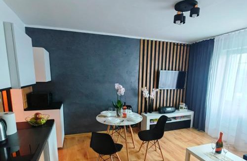 Chelmsko Slaskie Appartement | APARTAMENT CHEŁMSKO - rowery gratis