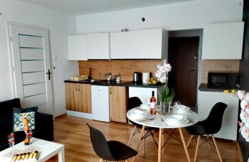 Chelmsko Slaskie Appartement | APARTAMENT CHEŁMSKO - rowery gratis