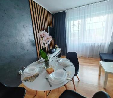 Chelmsko Slaskie Appartement | APARTAMENT CHEŁMSKO - rowery gratis