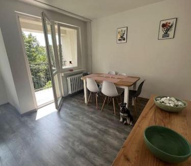 Boleslawiec Appartement | Apartament Chrobrego